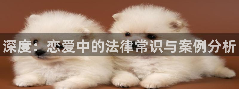 sf轻小说是什么小说：深度：恋爱中的法律常识与案例分析