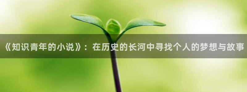 看sf轻小说app：《知识青年的小说》：在历史的长河中寻找个人的梦想与故事