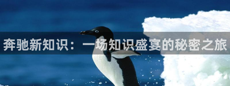 sf轻小说网页：奔驰新知识：一场知识盛宴的秘密之旅