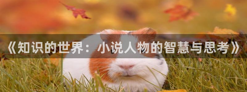 sf轻小说网站免费：《知识的世界：小说人物的智慧与思考》